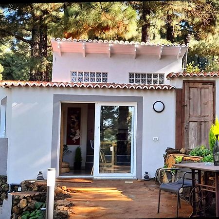 Casa Aguar: Acogedora Casa De Invitados En El Bosque Barrial Esterno foto