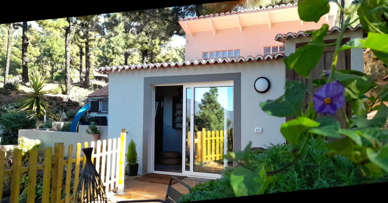Casa Aguar: Acogedora Casa De Invitados En El Bosque Barrial Esterno foto