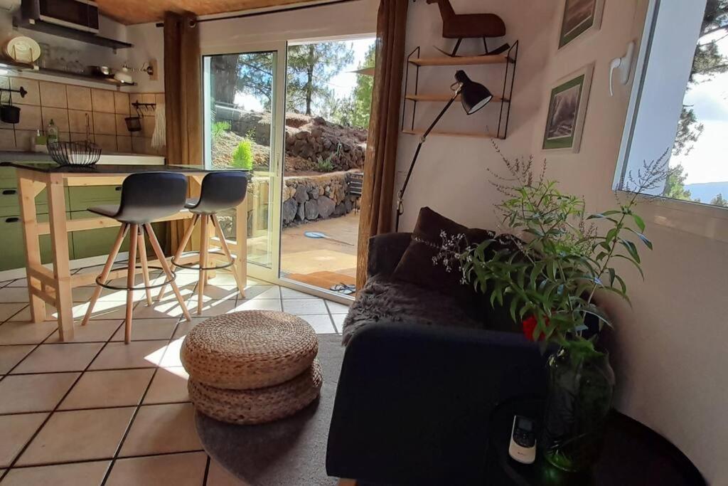 Casa Aguar: Acogedora Casa De Invitados En El Bosque Barrial Esterno foto