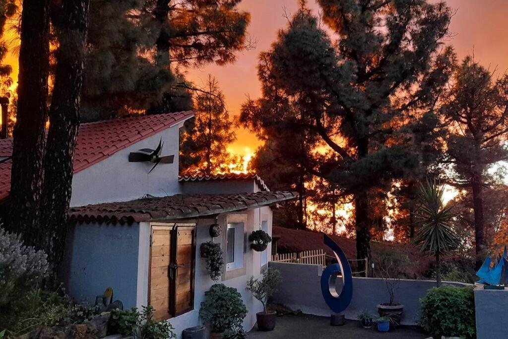 Casa Aguar: Acogedora Casa De Invitados En El Bosque Barrial Esterno foto