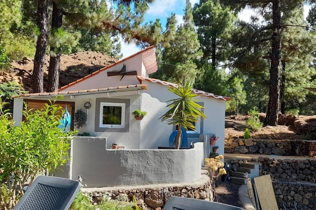 Casa Aguar: Acogedora Casa De Invitados En El Bosque Barrial Esterno foto