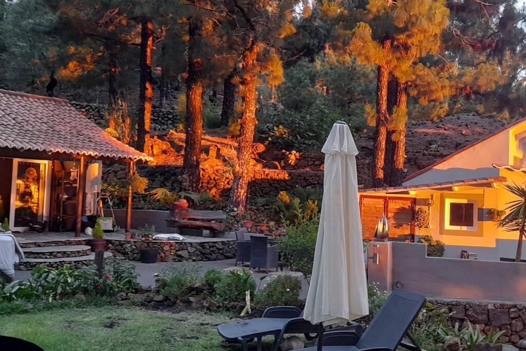 Casa Aguar: Acogedora Casa De Invitados En El Bosque Barrial Esterno foto