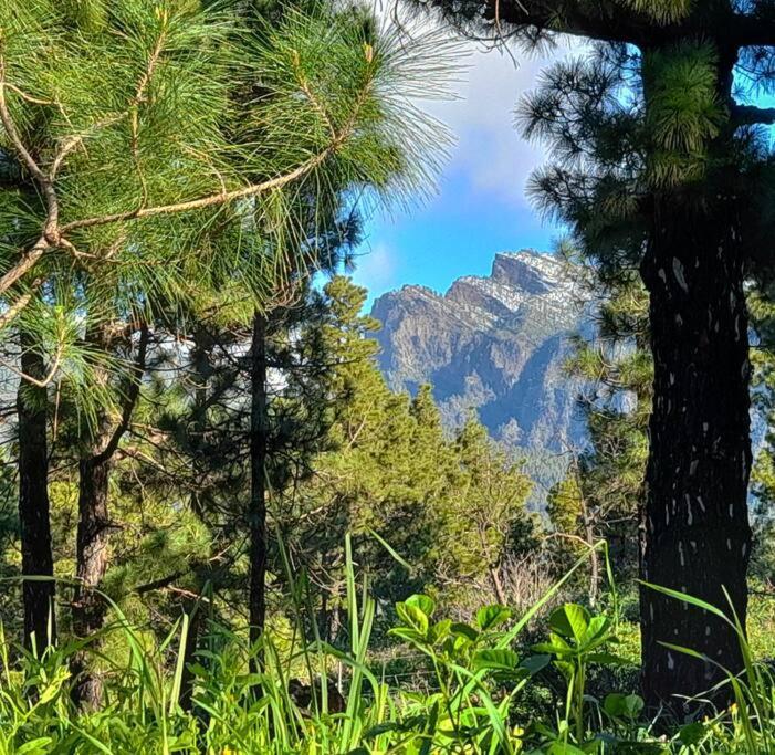 Casa Aguar: Acogedora Casa De Invitados En El Bosque Barrial Esterno foto