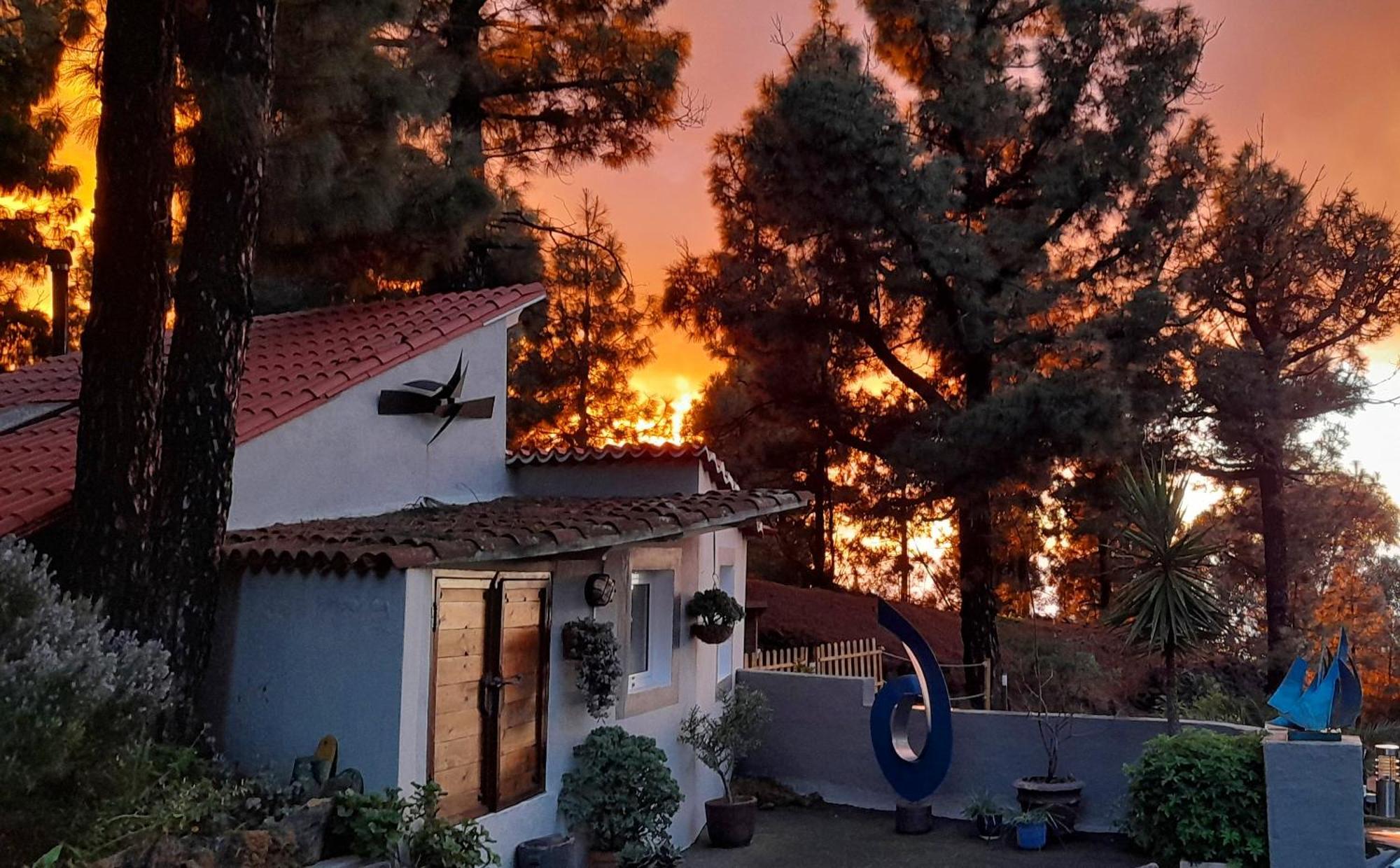 Casa Aguar: Acogedora Casa De Invitados En El Bosque Barrial Esterno foto