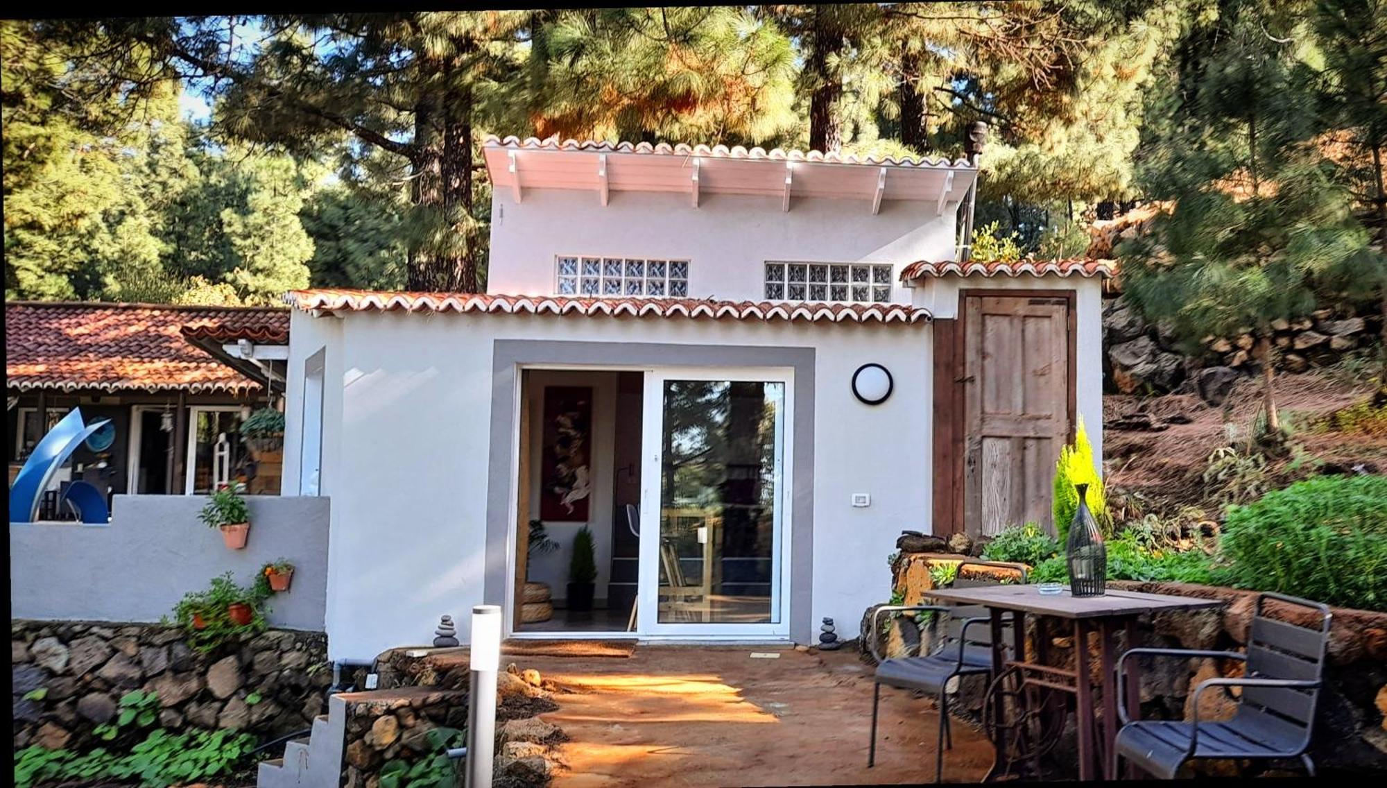 Casa Aguar: Acogedora Casa De Invitados En El Bosque Barrial Esterno foto